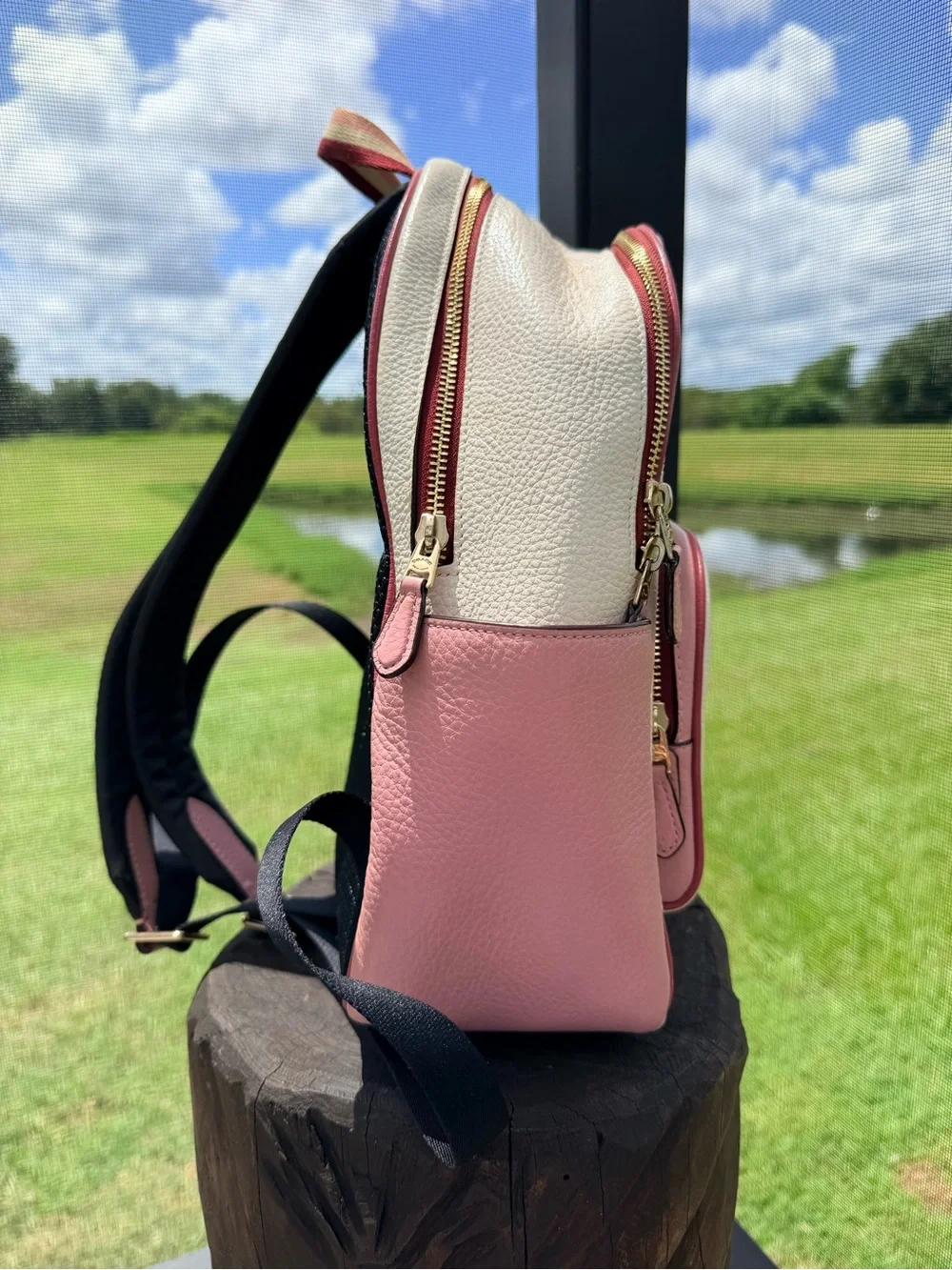 Coach court backpack